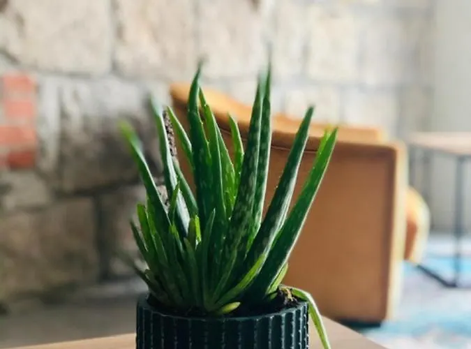 Rum i privatbostad Goscinne Cichosza Szklarska Poręba